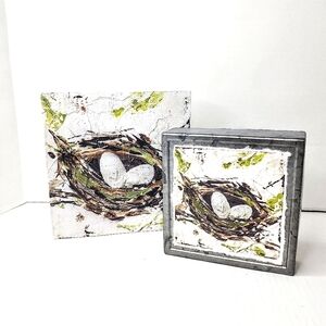 Raz Imports birds nest accent drawings. Green/white/gray. 2 piece set.